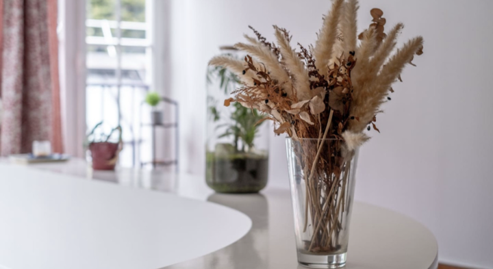 Curated Spaces